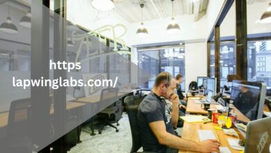 https lapwinglabs.com/