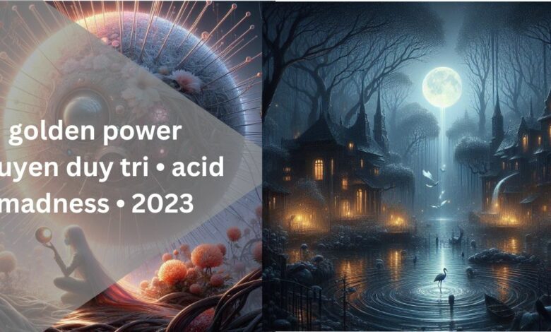 golden power nguyen duy tri • acid madness • 2023
